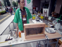写真:市谷産はちみつ紹介コーナー