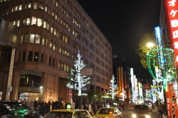写真:イルミネーションと区役所本庁舎