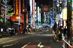 写真：区役所通りイルミネーション