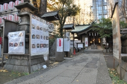展示の様子(境内全体の様子)