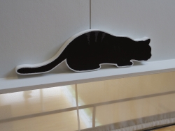 写真:漱石山房記念館のねこ