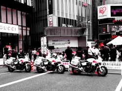 写真:開催前の新宿通り