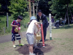 写真:子供達と植樹したヤマボウシに水やり