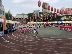 写真：新宿区役所つつじ連の阿波踊り