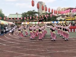 写真：つつじ連の女踊り