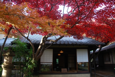 写真:林芙美子記念館