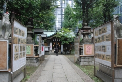 写真:境内の展示風景