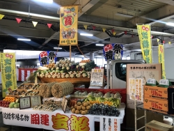 写真：野菜や果物の宝船