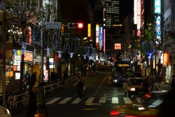 写真:イルミネーション