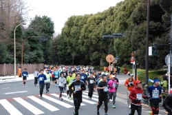 1月27日開催 新宿シティハーフマラソン小写真2