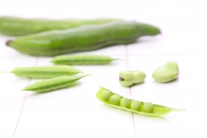 【2月】~豆野菜のお話~画像1