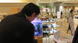 写真:新しい商品の展示