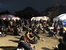 写真:参加者の様子