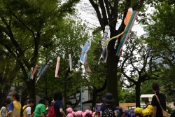 写真:こいのぼりを見上げる園児たち