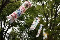 写真:園児たちのつくったこいのぼり