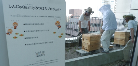 写真：蜂の飼育