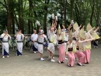 写真：新宿区役所つつじ連の阿波踊り