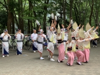 写真:新宿区役所つつじ連の阿波踊り