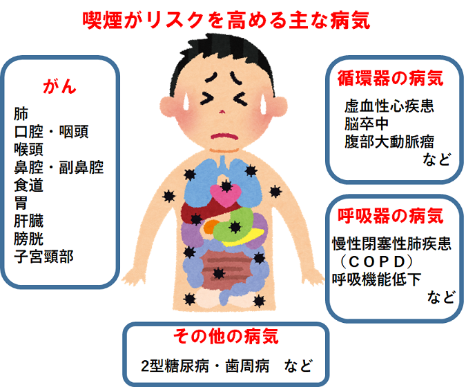 油煙 人体 へ の 影響