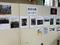 写真:落合の里コーナー