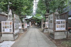 写真:境内の展示の様子