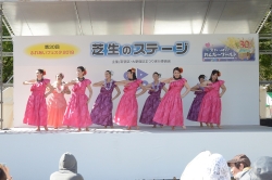 ふれあいフェスタ(昨年の様子)