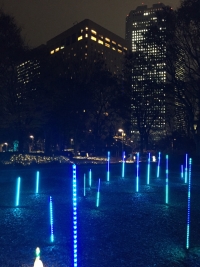 写真:新宿中央公園のイルミネーション(区民の森)