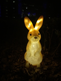 写真：新宿中央公園のイルミネーション（ウサギ）
