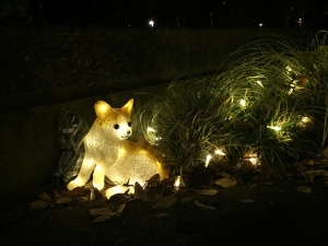 写真：新宿中央公園のイルミネーション（ネコ）