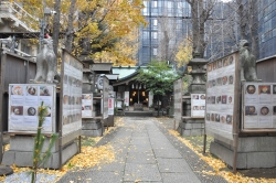 写真:写真展の様子