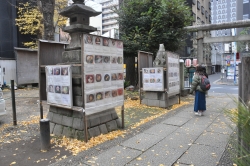 写真:写真展の様子(写真展を見る参拝に訪れた人)