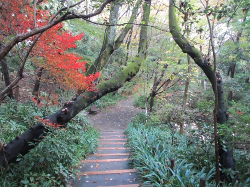 おとめ山公園　散策路