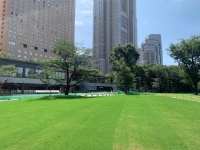 写真：再整備した芝生広場