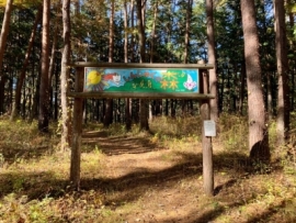 「新宿の森・伊那」について画像1
