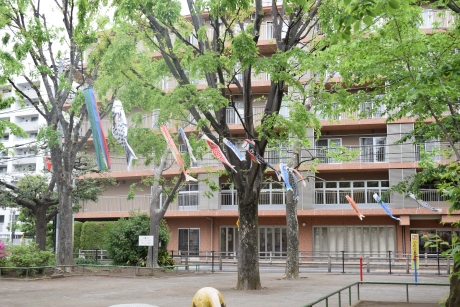 写真：西戸山公園のこいのぼりの様子