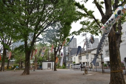 写真：西戸山公園のこいのぼりの様子