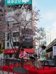 写真:会の様子