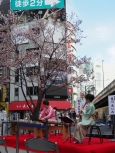 写真：会の様子