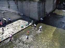 8月11日まで 神田川親水テラスを開放しています小写真1