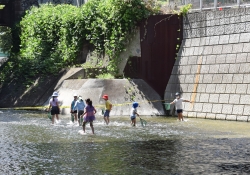 8月11日まで 神田川親水テラスを開放しています小写真2