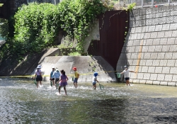 8月11日まで　神田川親水テラスを開放しています小写真2