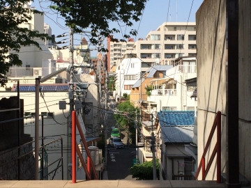 須賀神社の石段を上から見た様子の写真