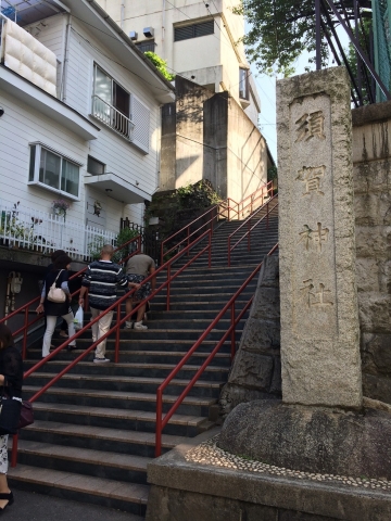 須賀神社の石段を下から見上げた様子の写真