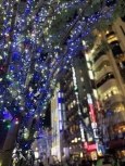 写真:点灯したイルミネーション
