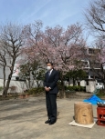 写真:区長とタカトオコヒガンザクラ