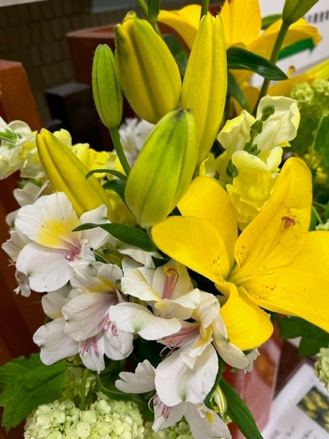 伊那市5月の花