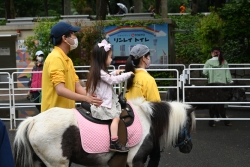 新宿区の私立幼稚園が大集合!「新宿子育て教育フェア」を開催小写真2
