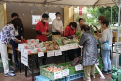 野菜販売の様子