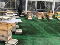 写真:障害者福祉センター屋上の蜂箱