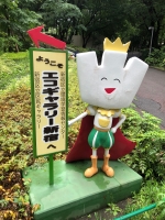 写真:エコ王子